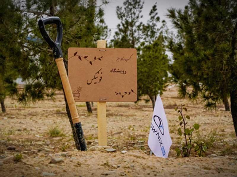 رویشگاه فونیکس با مشارکت مردم احداث شد