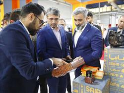 طرح های تحول و توسعه ای حضور فعال تر سایپا را در بازار به دنبال دارد